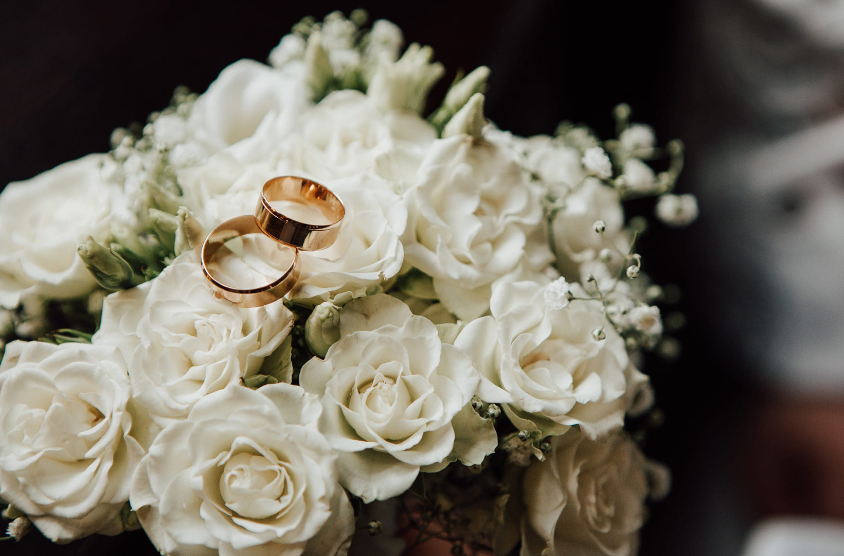 Мероприятия в Plaza Garden