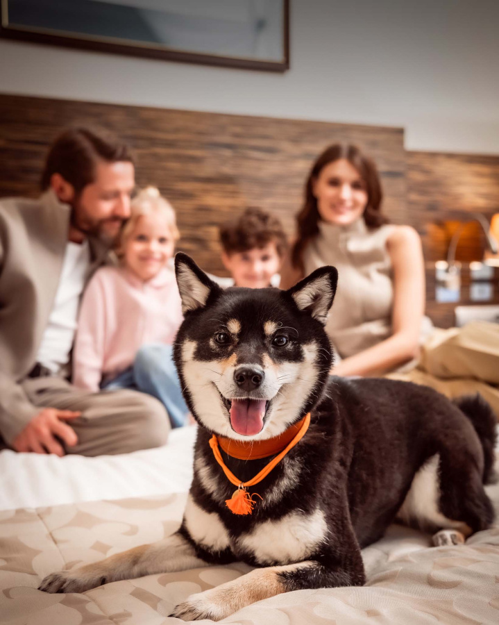 Рады Вашим питомцам