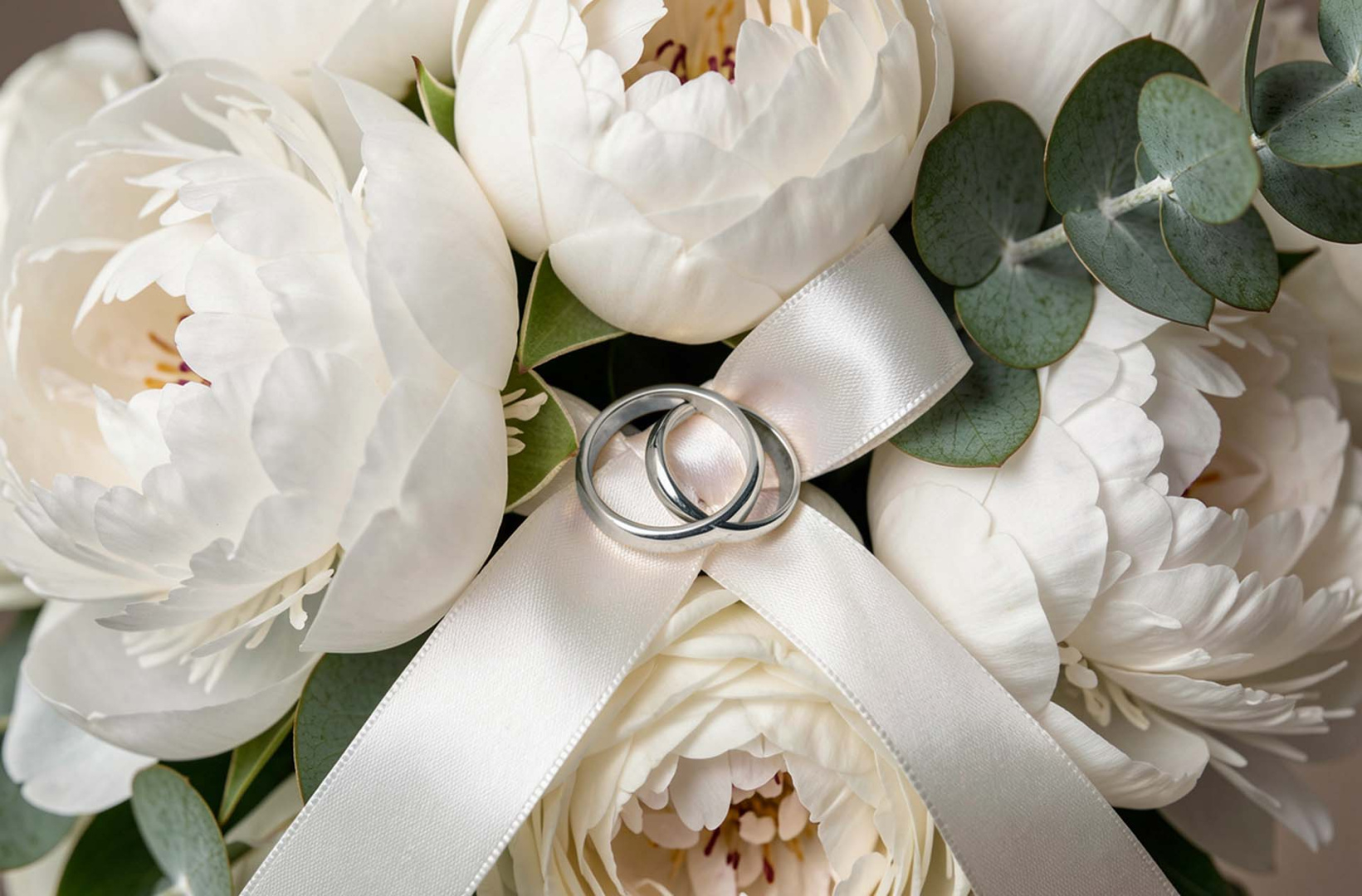 Мероприятия в Plaza Garden